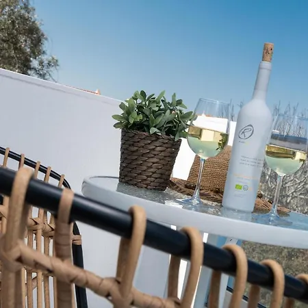 Ninemia Hotel Limenas (Thasos)